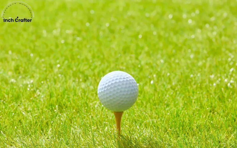 how long is 3 inches