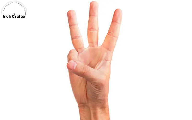 how long is 3 inches