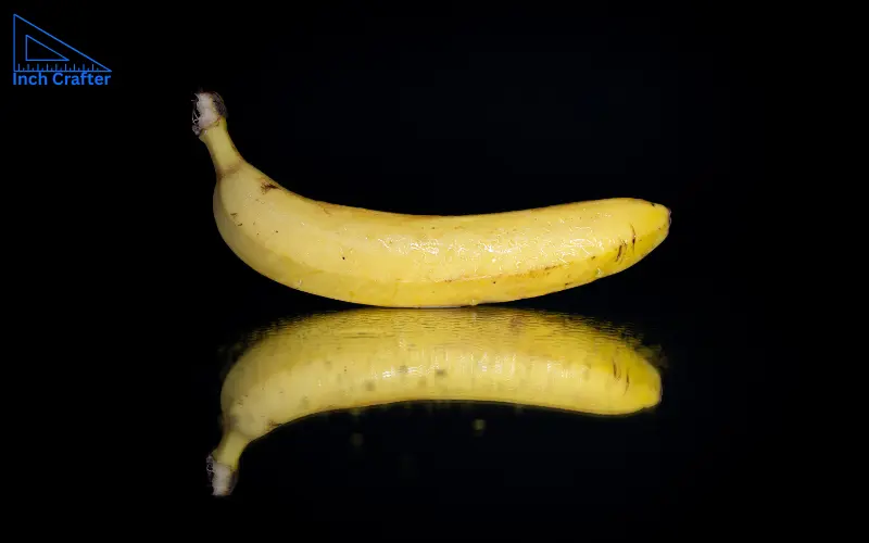 how long is 6 inches

