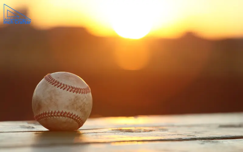 how long is 6 inches

