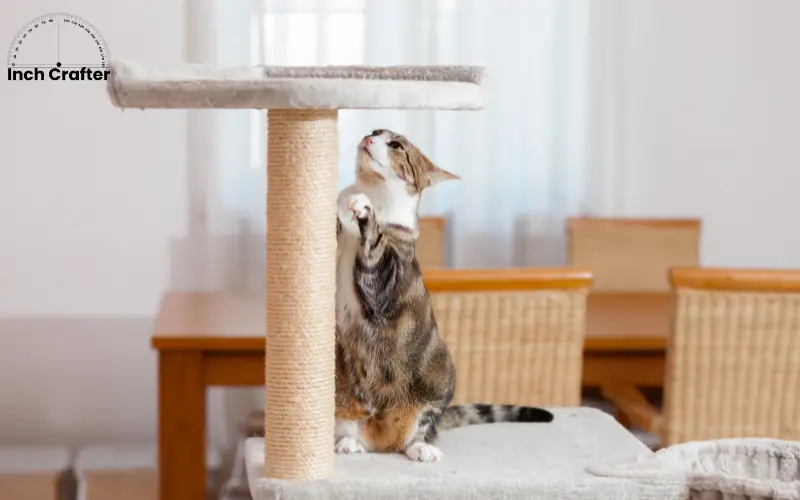 how long is 14 inches