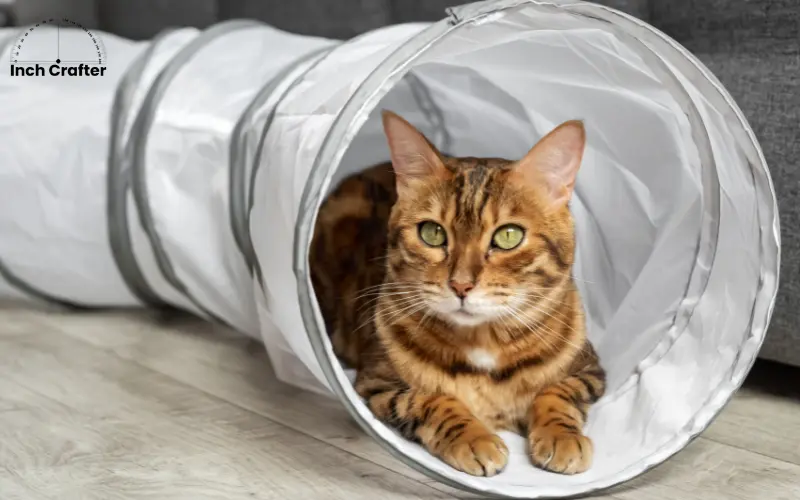 how long is 15 inches