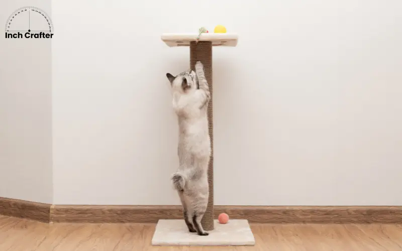 how long is 17 inches