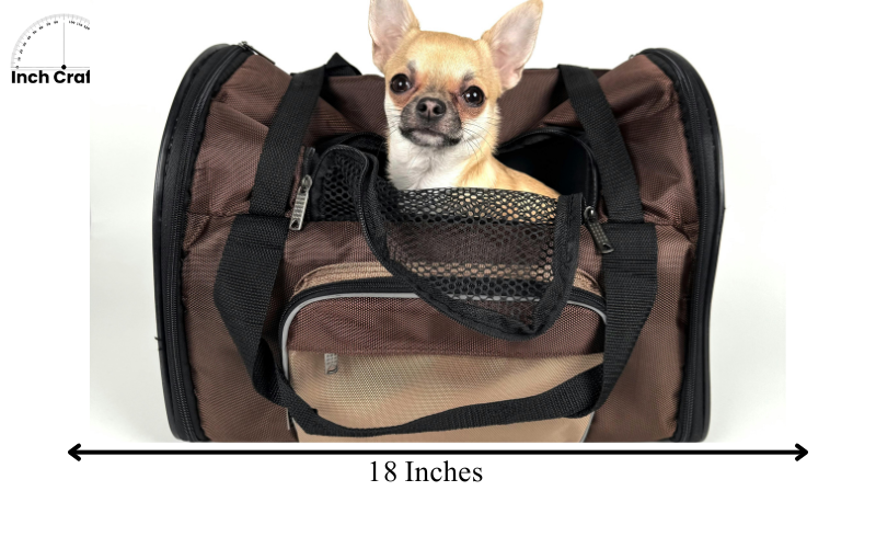 how long is 19 inches