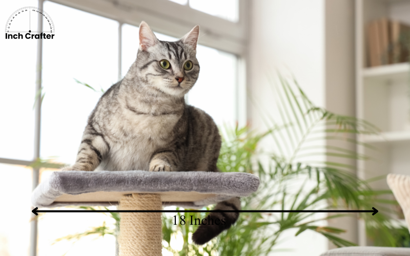 how long is 19 inches