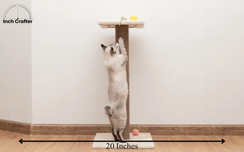 how tall is 20 inches