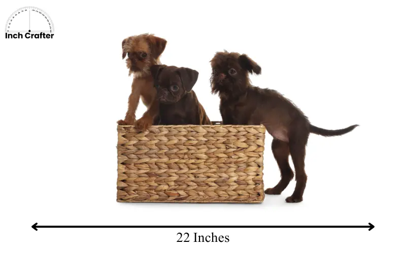 how long is 23 inches