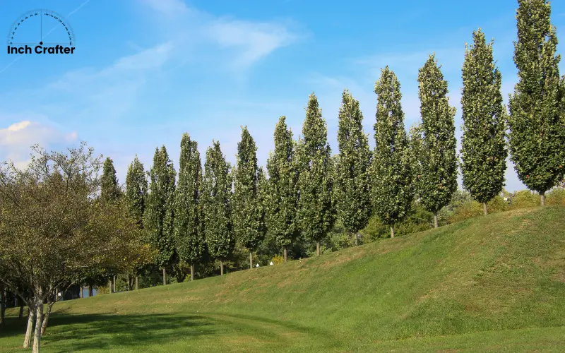 how long is 100 feet