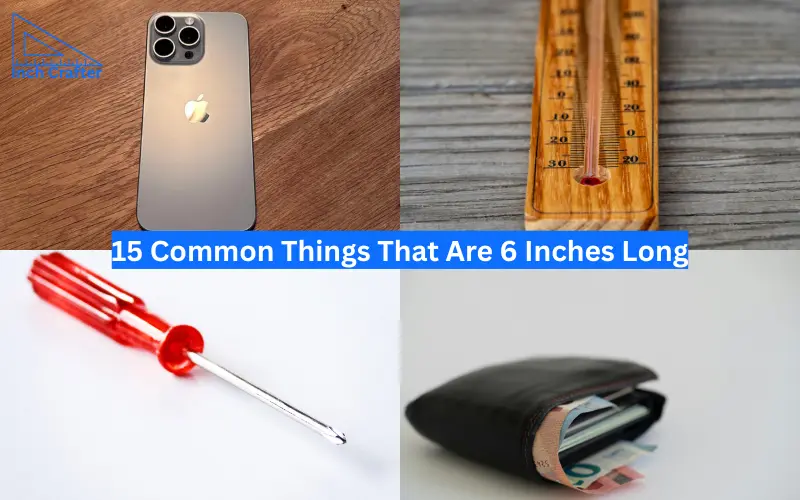 how long is 6 inches