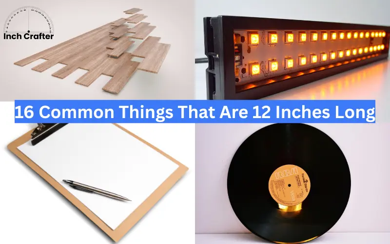 how long is 12 inches