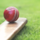 Cricket Pitch Markings Complete Guide to Creases, Lines and Dimensions