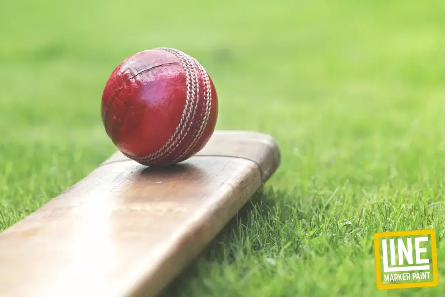 Cricket Pitch Markings Complete Guide to Creases, Lines and Dimensions