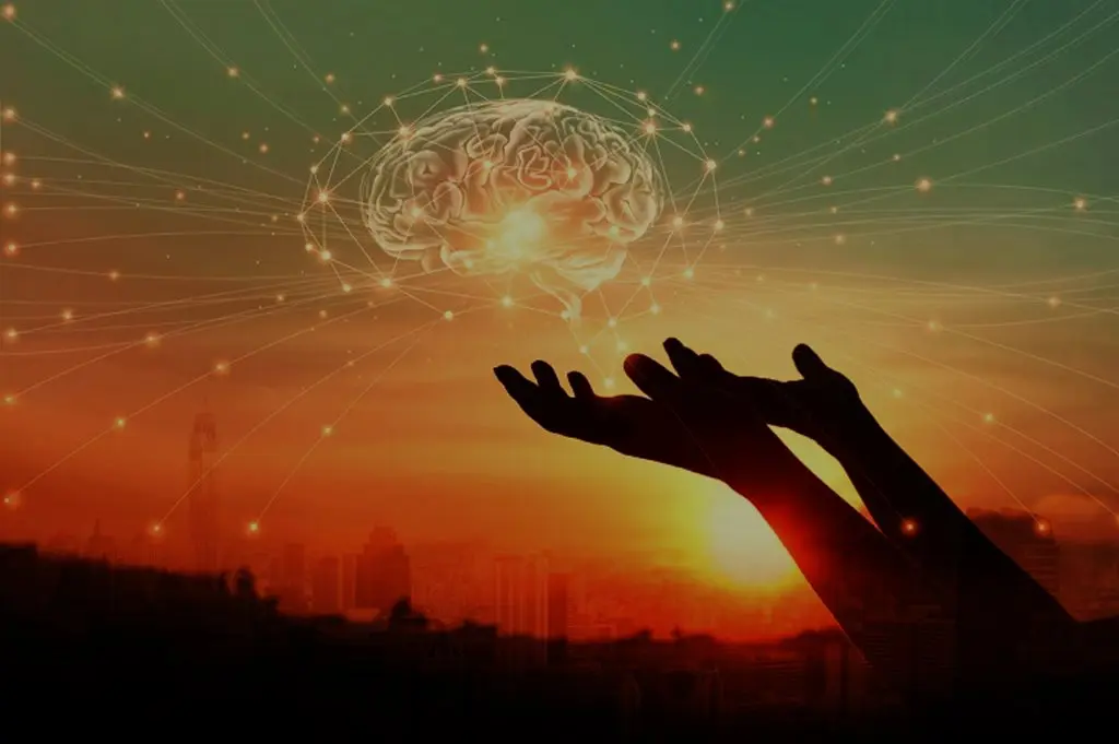 The Science of Light Windows That Elevate Your Mind