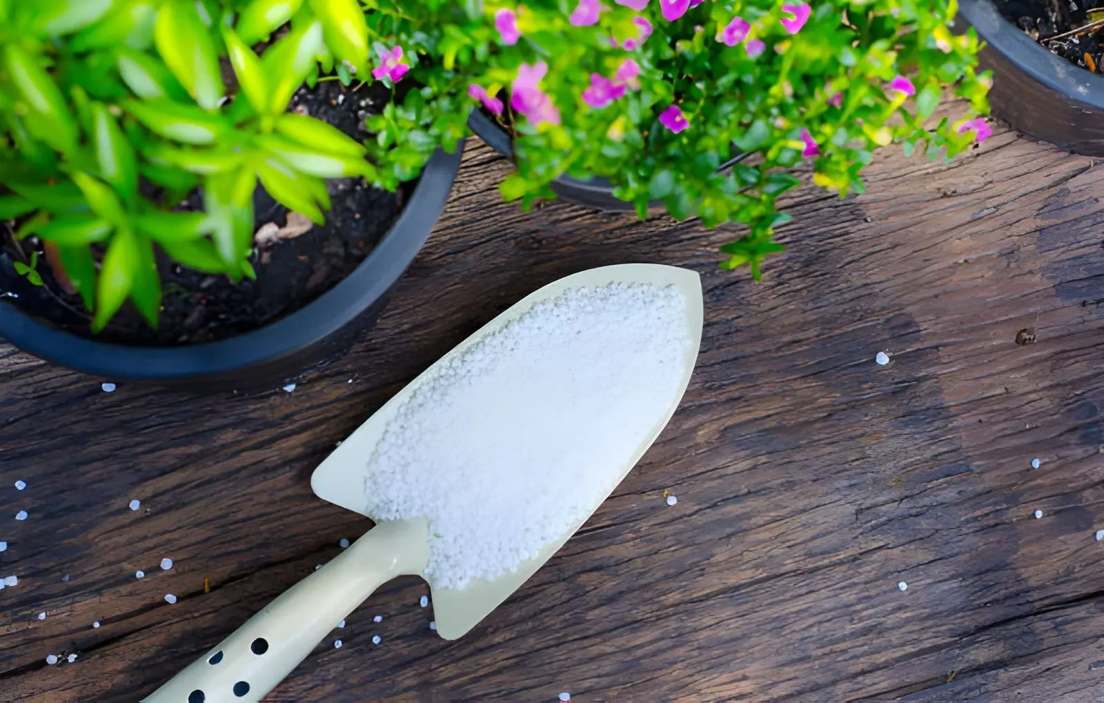 How to Choose the Right Fertiliser for Different Plants in your Garden
