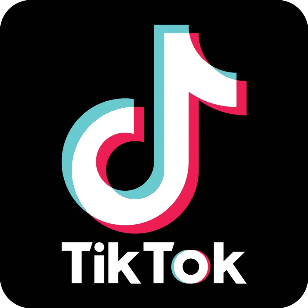 15 Most Popular TikTok Video Downloaders