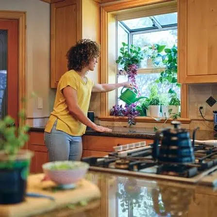 Garden Windows Enhancing Your Home with Light, Freshness, and Style