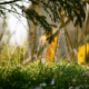 Smart Watering Upgrades That Cut Yard Costs Fast