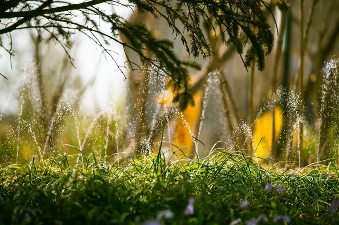 Smart Watering Upgrades That Cut Yard Costs Fast
