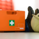 Why You Need More Than Just a First Aid Kit at Work